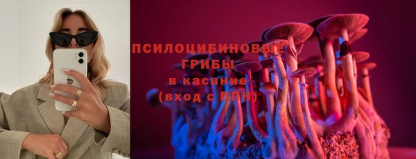 ешки Алексеевка