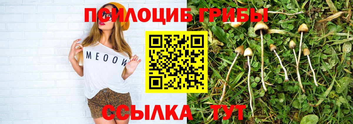 Новоуральск  Псилоцибиновые грибы Psilocybine cubensis  Вход с VPN 