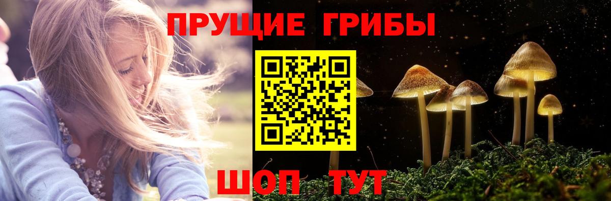 Галлюциногенные грибы GOLDEN TEACHER Новоуральск