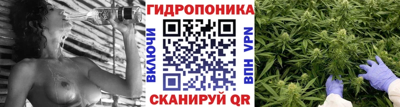 Бошки Шишки план  Новоуральск 